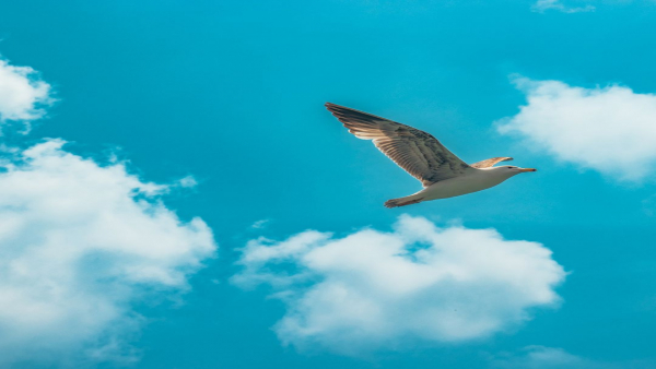 【週1日からOK】スキマ時間・自由シフトで叶える、新しい介護の働き方